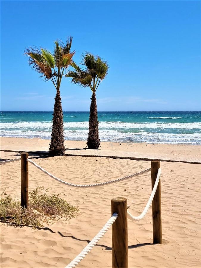 Cabo Cervera Primera Linea Apartamento De Lujo Τορεβιέχα Εξωτερικό φωτογραφία