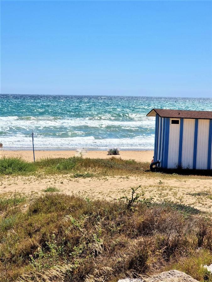 Cabo Cervera Primera Linea Apartamento De Lujo Τορεβιέχα Εξωτερικό φωτογραφία